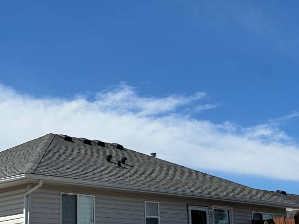 Best Roof Maintenance and Cleaning  in Casper, WY